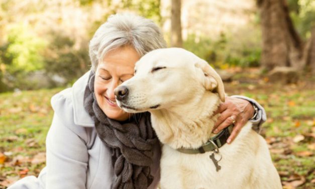 The Benefits of Pet Ownership for Seniors