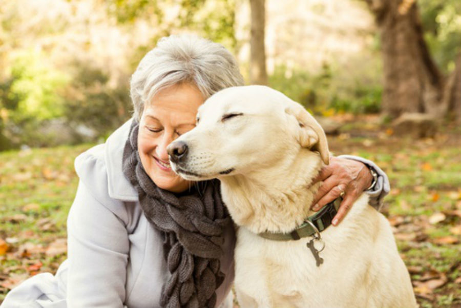 The Benefits of Pet Ownership for Seniors